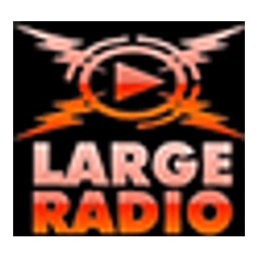 Large radio